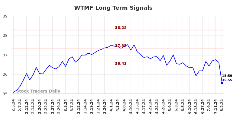 WTMF Long Term Analysis for August 4 2024