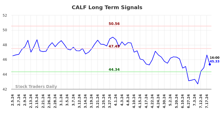 CALF Long Term Analysis for August 4 2024