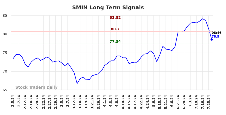 SMIN Long Term Analysis for August 5 2024