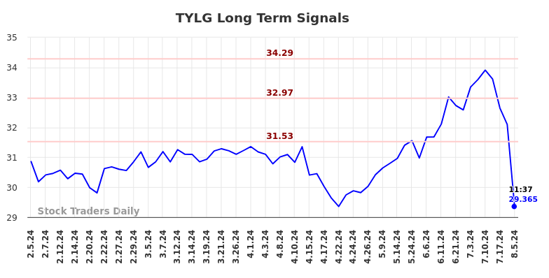 TYLG Long Term Analysis for August 5 2024