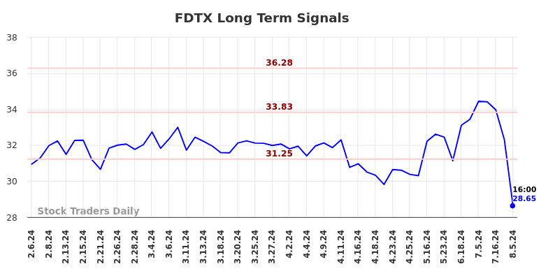 FDTX Long Term Analysis for August 6 2024