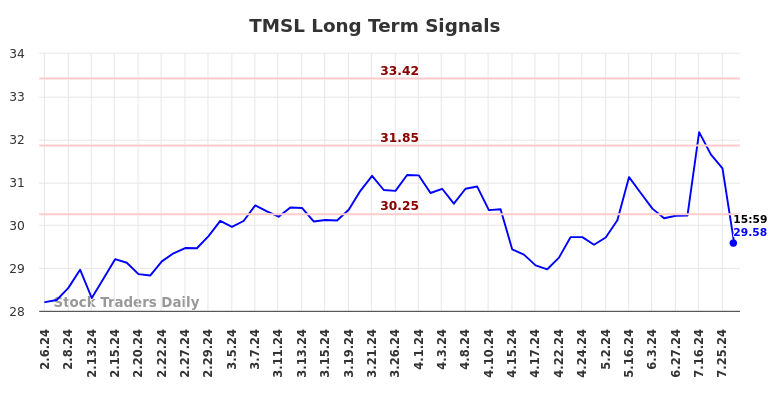 TMSL Long Term Analysis for August 6 2024