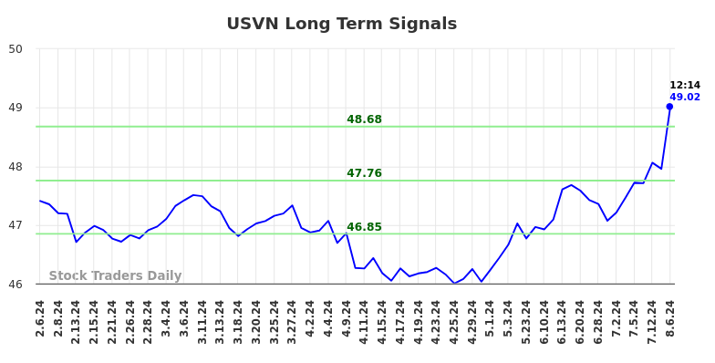 USVN Long Term Analysis for August 6 2024