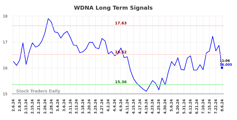 WDNA Long Term Analysis for August 6 2024