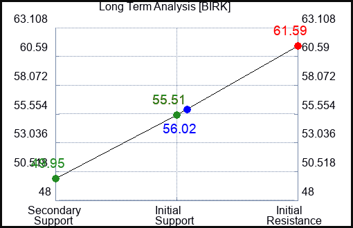 BIRK Long Term Analysis for August 7 2024