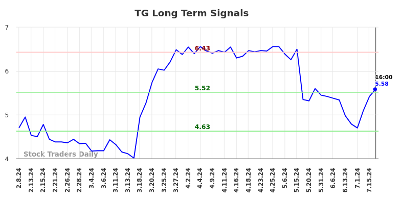 TG Long Term Analysis for August 8 2024