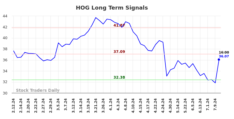 HOG Long Term Analysis for August 9 2024