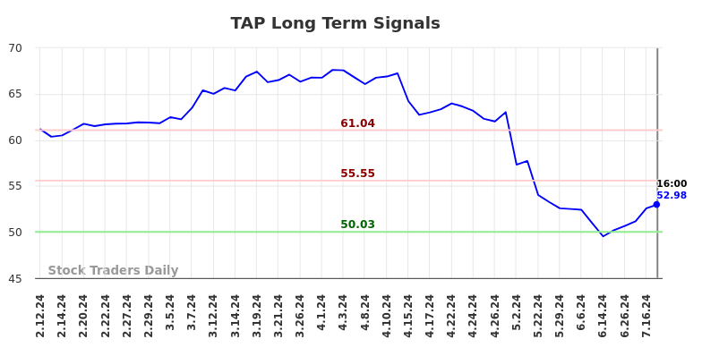 TAP Long Term Analysis for August 9 2024