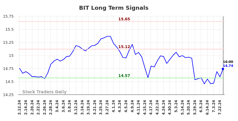 BIT Long Term Analysis for August 10 2024