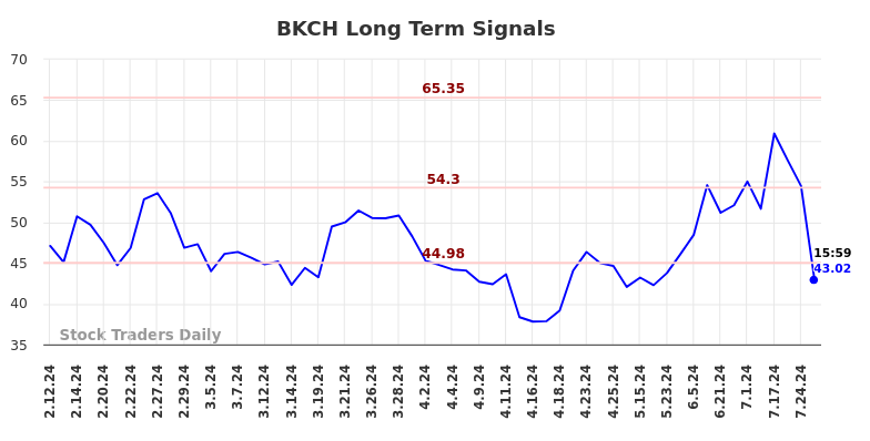 BKCH Long Term Analysis for August 10 2024