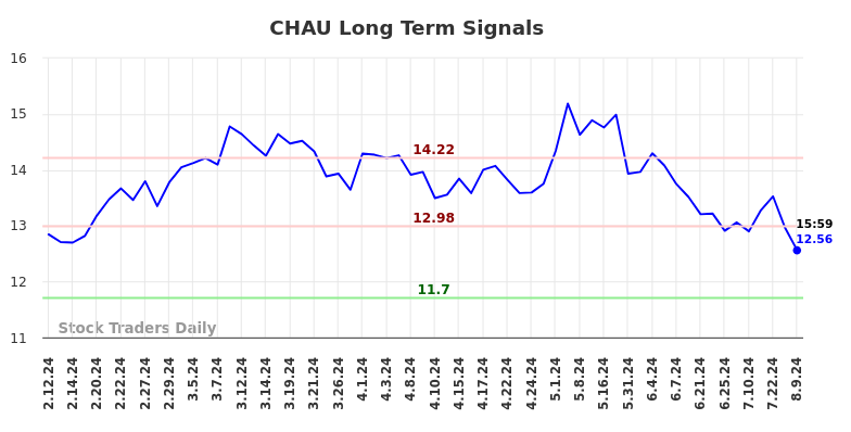 CHAU Long Term Analysis for August 10 2024