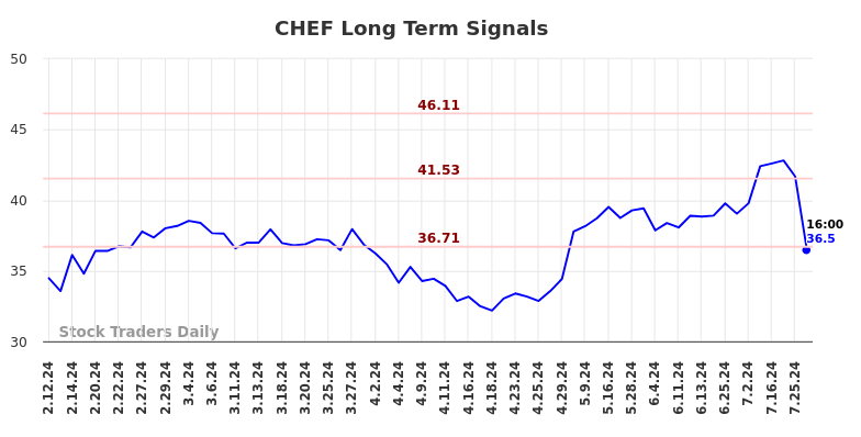 CHEF Long Term Analysis for August 10 2024