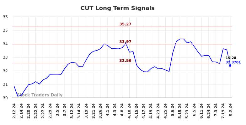 CUT Long Term Analysis for August 11 2024