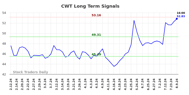 CWT Long Term Analysis for August 11 2024