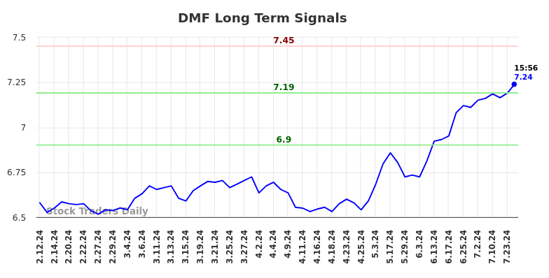 DMF Long Term Analysis for August 11 2024