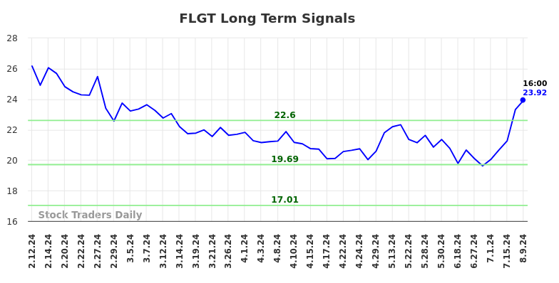 FLGT Long Term Analysis for August 11 2024