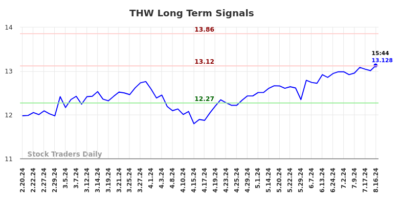 THW Long Term Analysis for August 16 2024