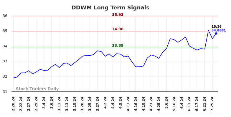 DDWM Long Term Analysis for August 17 2024