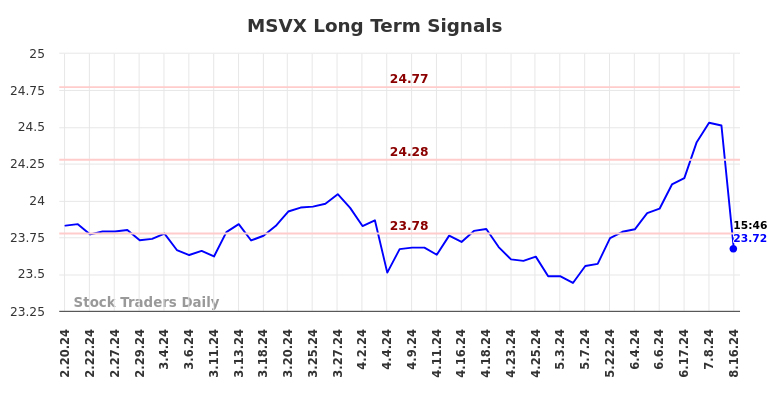 MSVX Long Term Analysis for August 18 2024