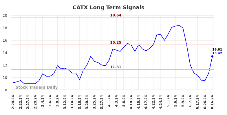 CATX Long Term Analysis for August 18 2024