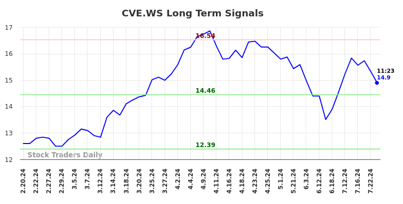 CVE.WS Long Term Analysis for August 18 2024