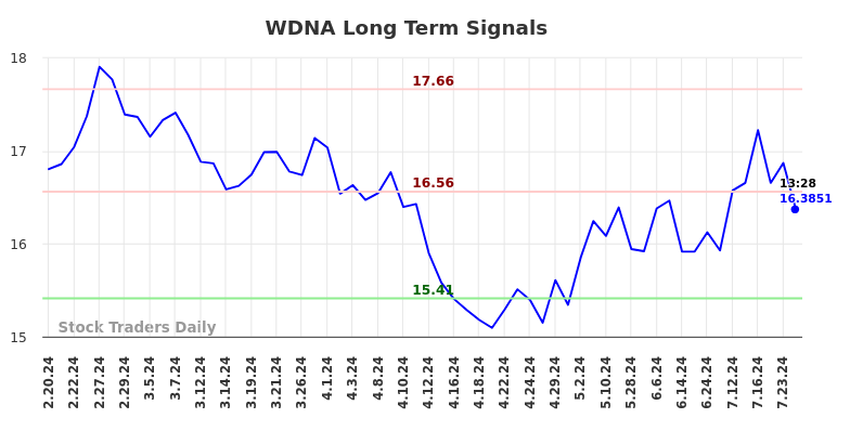 WDNA Long Term Analysis for August 19 2024