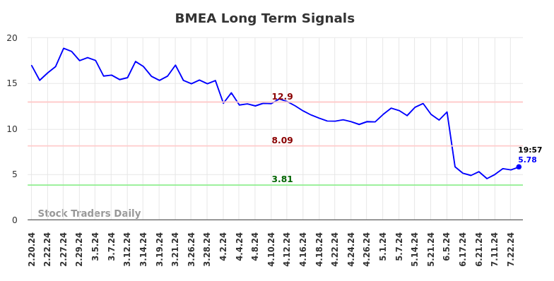 BMEA Long Term Analysis for August 19 2024