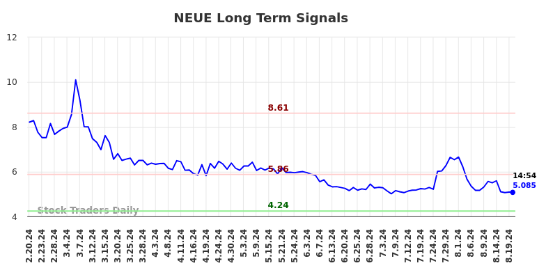 NEUE Long Term Analysis for August 20 2024