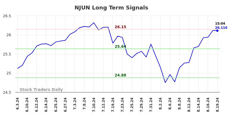 NJUN Long Term Analysis for August 20 2024