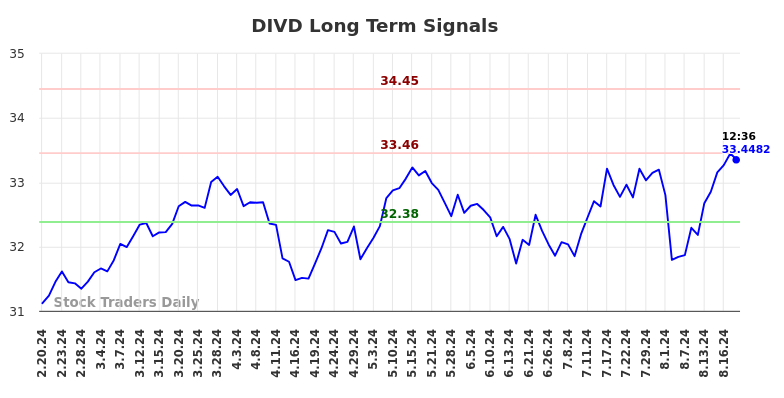 DIVD Long Term Analysis for August 20 2024