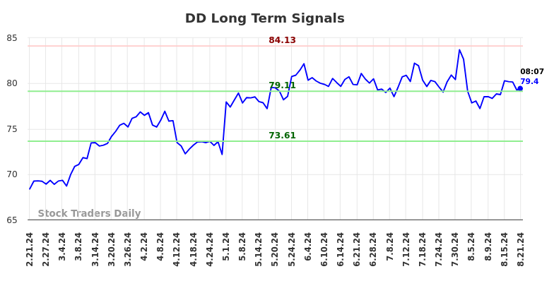 DD Long Term Analysis for August 21 2024