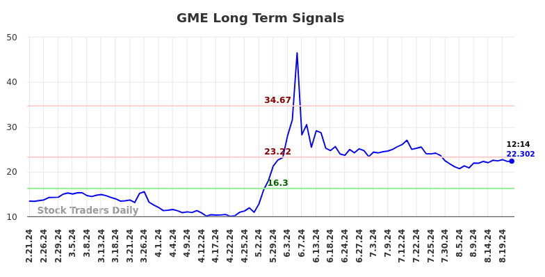 GME Long Term Analysis for August 21 2024