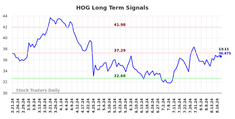 HOG Long Term Analysis for August 21 2024