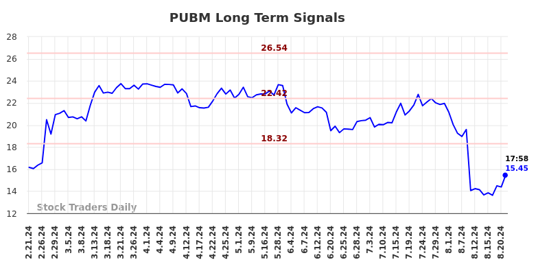 PUBM Long Term Analysis for August 21 2024