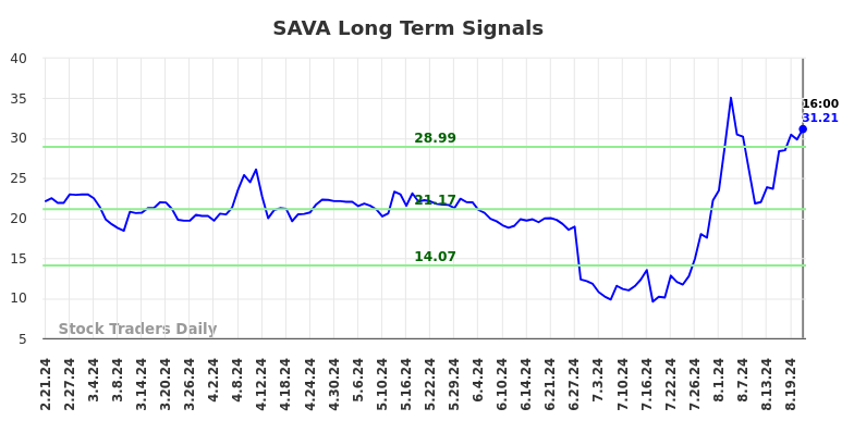 SAVA Long Term Analysis for August 21 2024