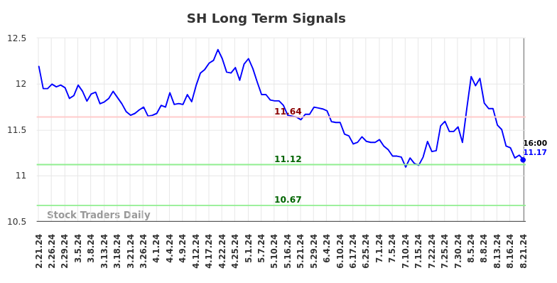 SH Long Term Analysis for August 21 2024