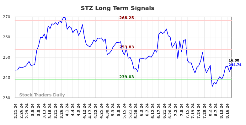 STZ Long Term Analysis for August 21 2024