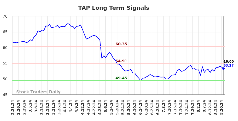 TAP Long Term Analysis for August 21 2024