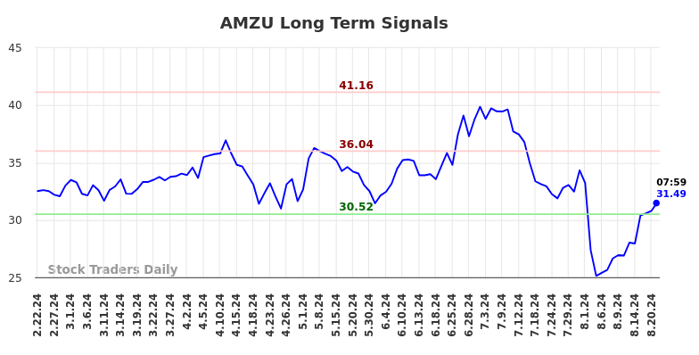 AMZU Long Term Analysis for August 22 2024