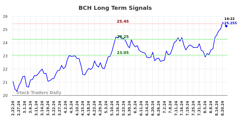 BCH Long Term Analysis for August 22 2024