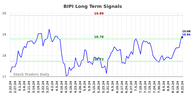 BIPI Long Term Analysis for August 22 2024