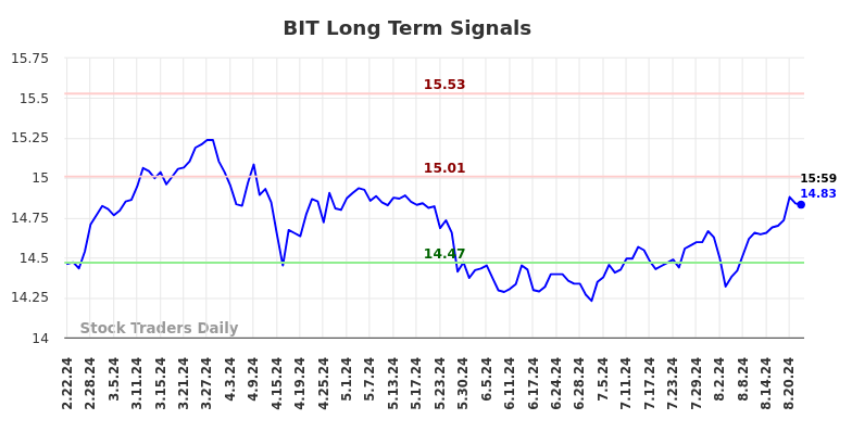 BIT Long Term Analysis for August 22 2024