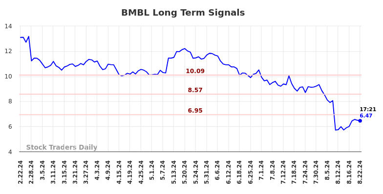 BMBL Long Term Analysis for August 22 2024