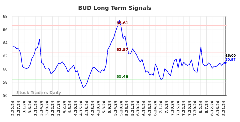 BUD Long Term Analysis for August 22 2024