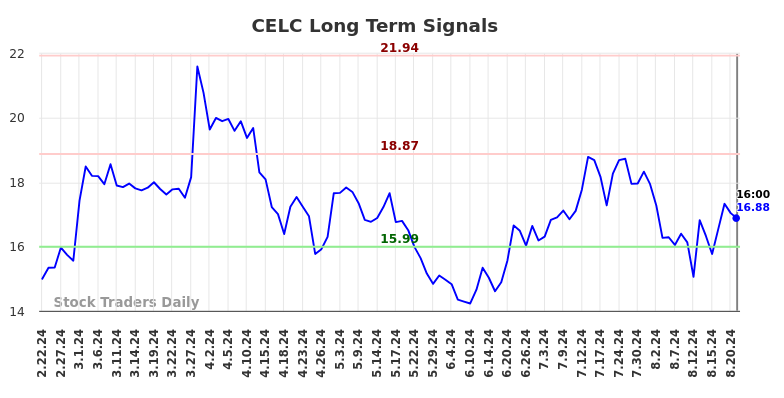 CELC Long Term Analysis for August 23 2024