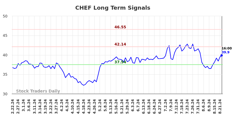 CHEF Long Term Analysis for August 23 2024