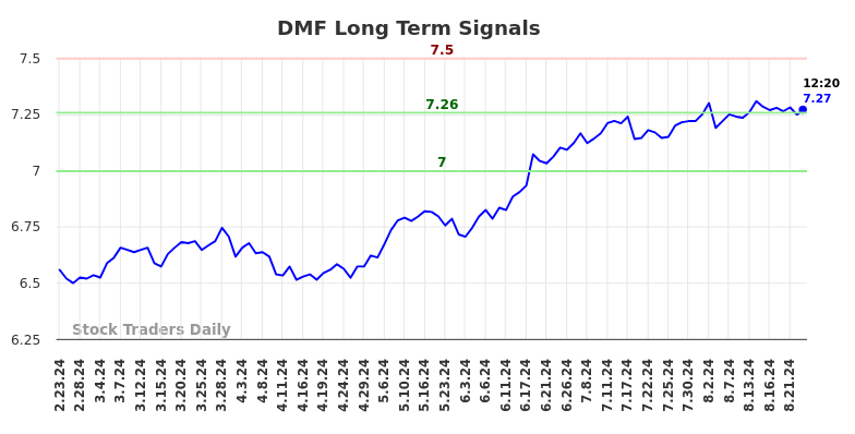 DMF Long Term Analysis for August 23 2024