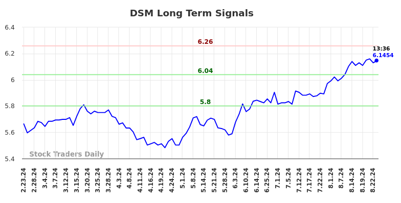 DSM Long Term Analysis for August 23 2024