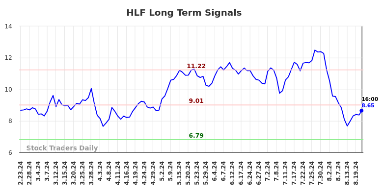 HLF Long Term Analysis for August 24 2024