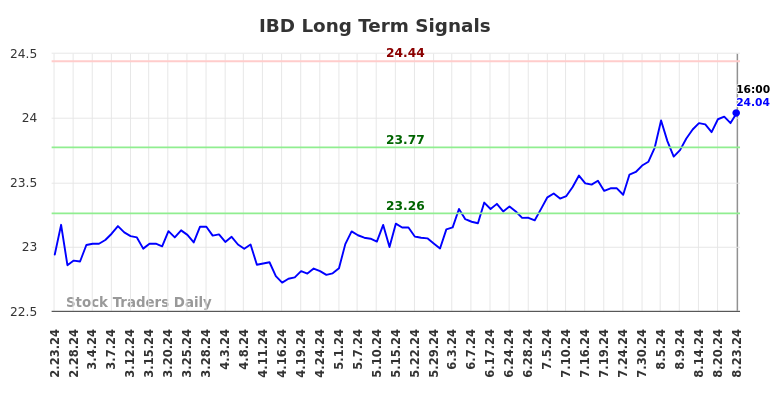 IBD Long Term Analysis for August 24 2024